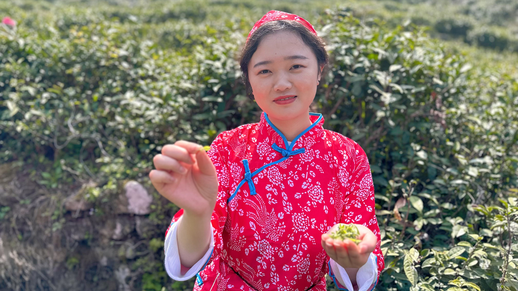 泛亚电竞以茶为媒 做好“茶文章” 壮大“茶经济”(图3)