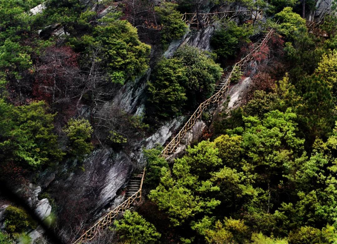 2021北海湿地-旅游攻略-门票-地址-问答-游记点评，腾冲旅游旅游景点推荐-去哪儿攻略