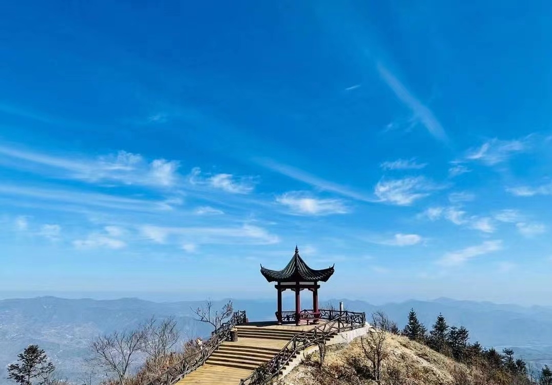 图片8.png