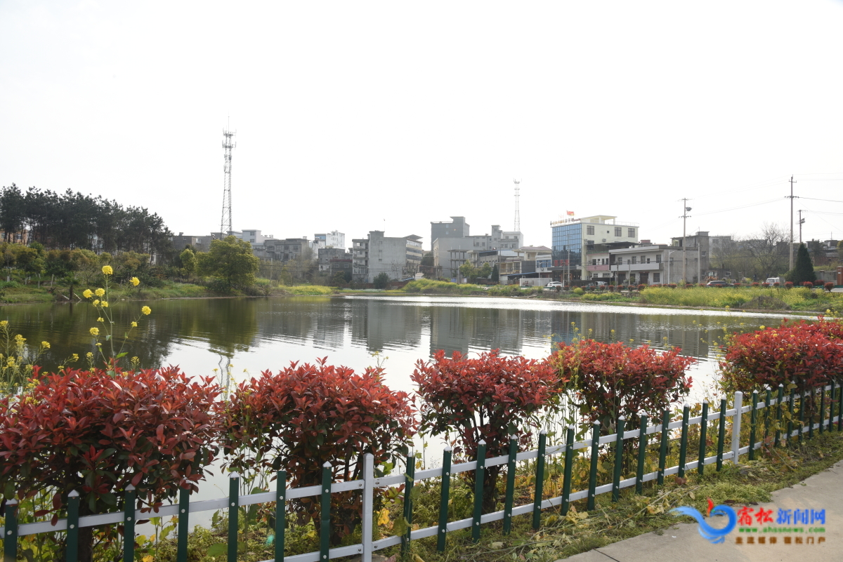 DSC_0246.JPG