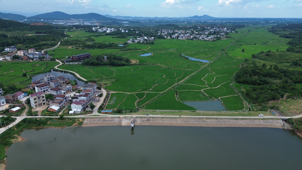 DJI_0106.JPG