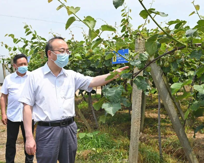 张祥安来宿调研村落子复原等使命 宿松往事网