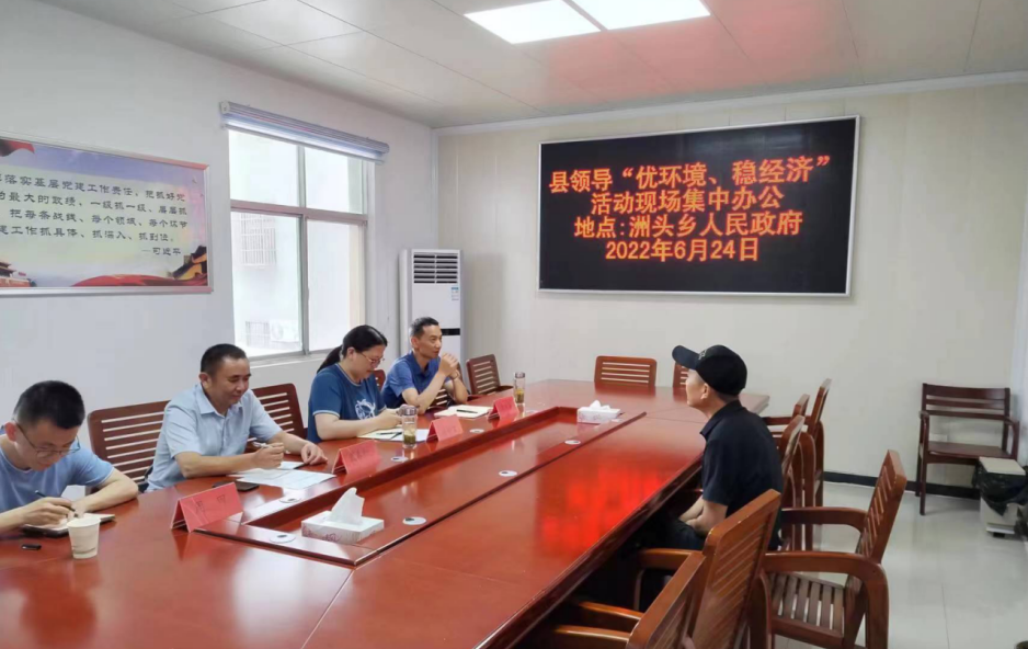 林丽霞到洲头乡开展“优环境、稳经济”现场集中办公活动