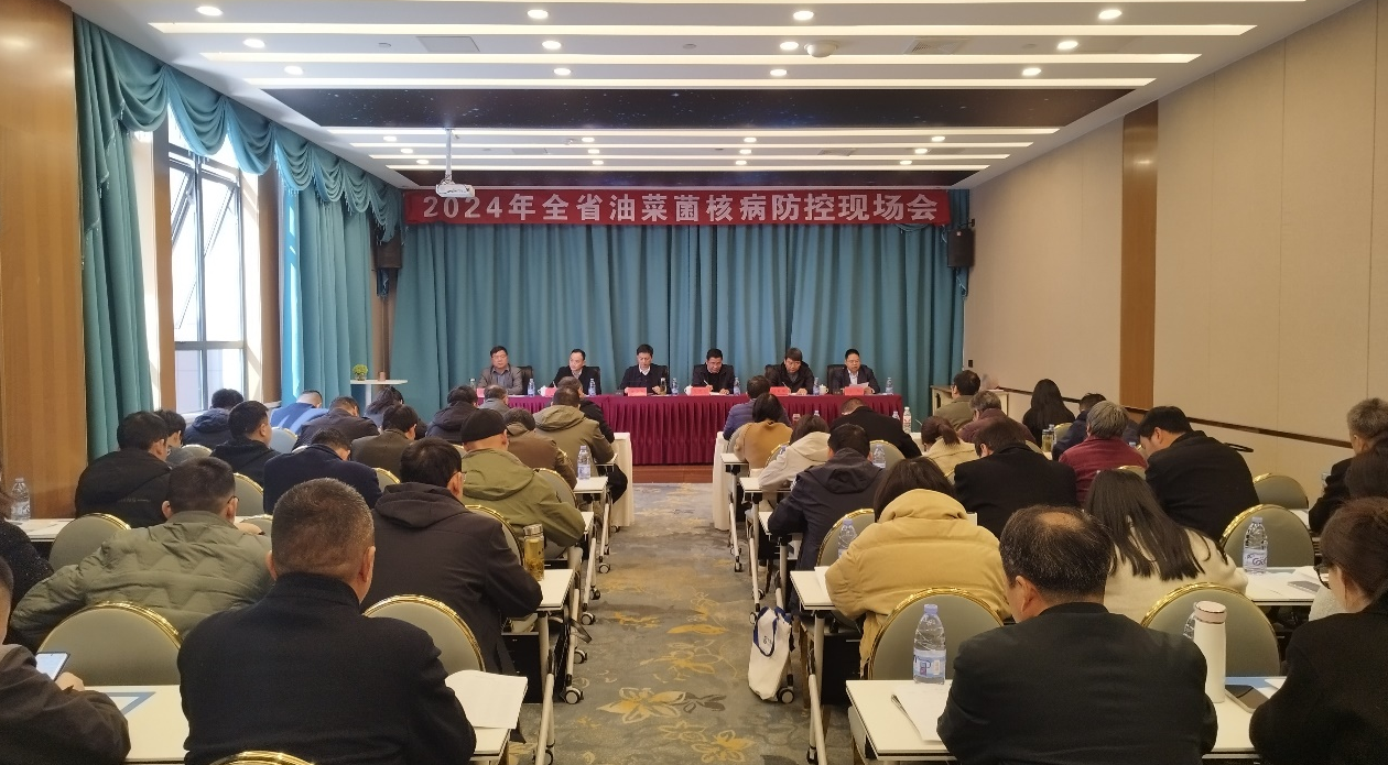 2024年全省油菜菌核病防控现场会在我县召开