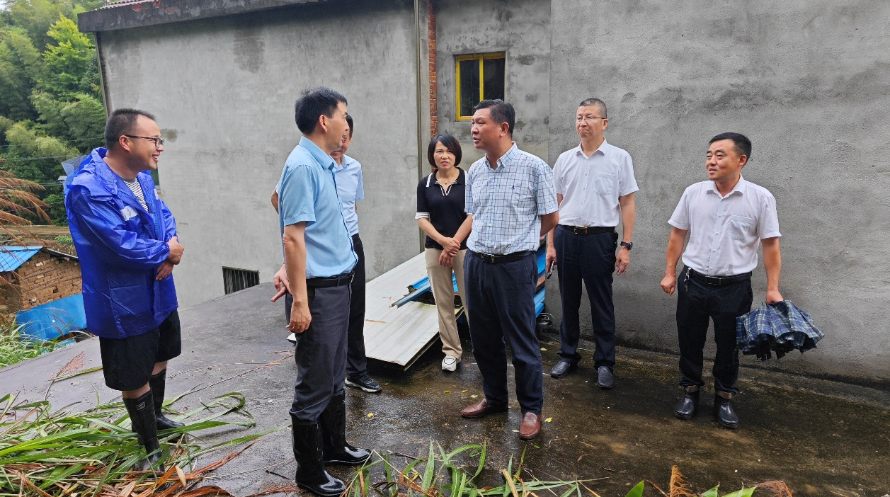 许晓峰调研督导防汛备汛、地质灾害防治工作