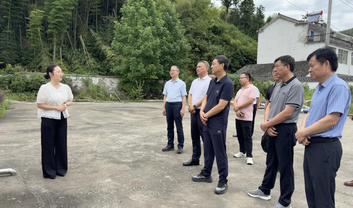 周东明率队到我县调研指导和美乡村精品示范村建设工作