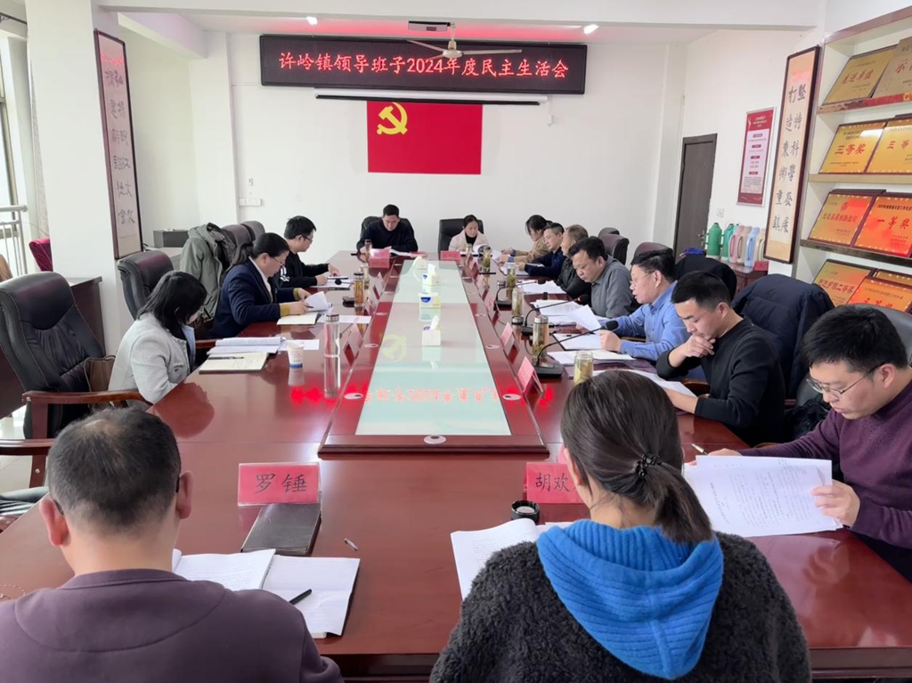 林丽霞参加指导许岭镇2024年度民主生活会 宿松新闻网