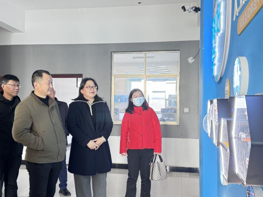 林丽霞调研全县重点文旅项目推进情况 宿松新闻网