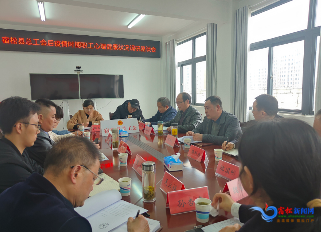 县总工会召开后疫情时期职工心理健康状况调研座谈会 宿松新闻网