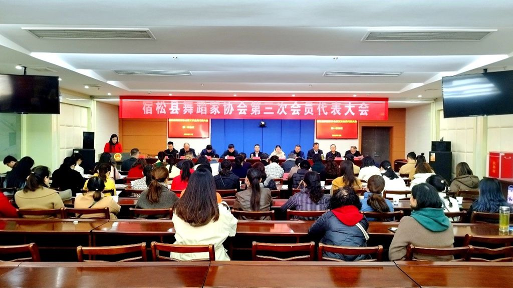 宿松县舞蹈家协会召开第三次会员代表大会 宿松新闻网