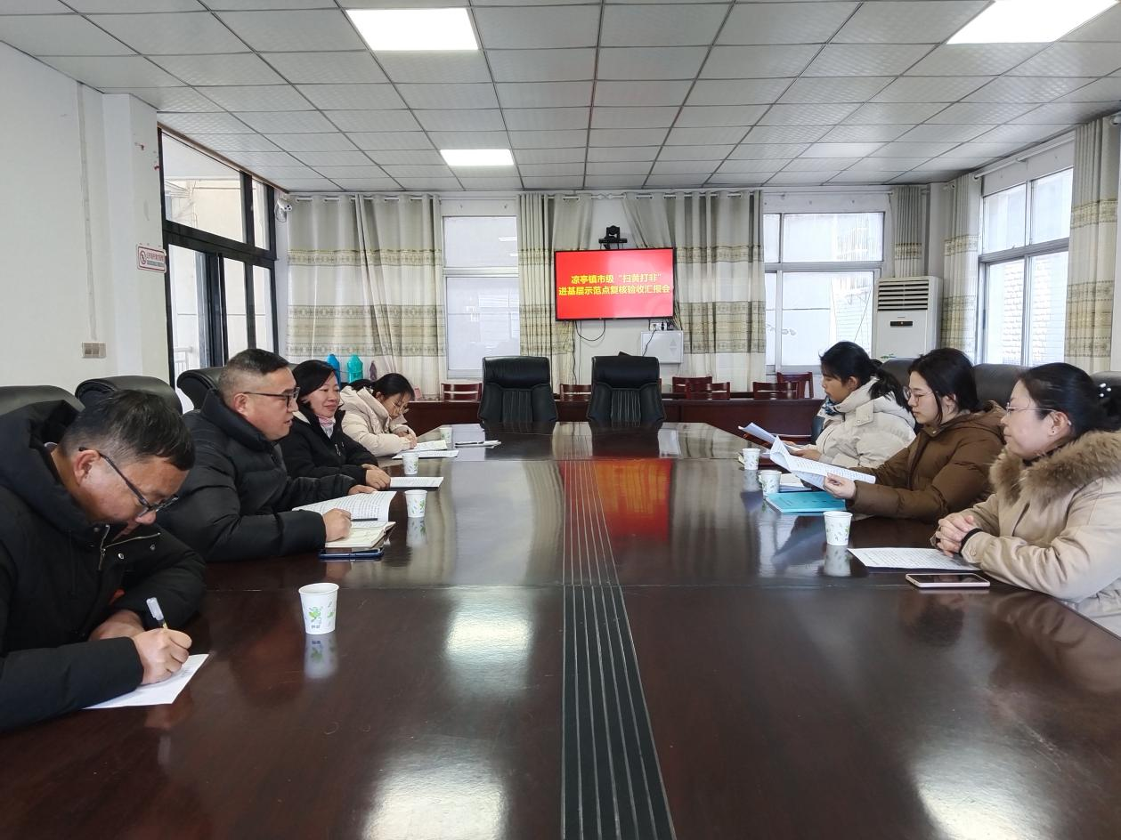 市“扫黄打非”办复核验收我县“扫黄打非”进基层示范点 宿松新闻网
