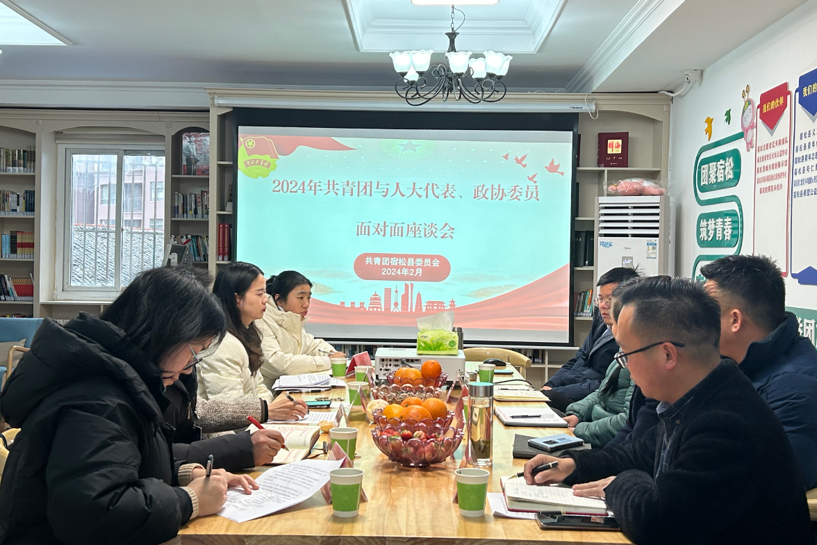 团宿松县委举办2024年“共青团与人大代表、 政协委员面对面”活动 宿松新闻网