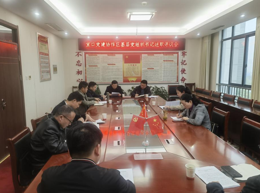 宣口党建协作区基层党组织书记述职报告会召开 宿松新闻网