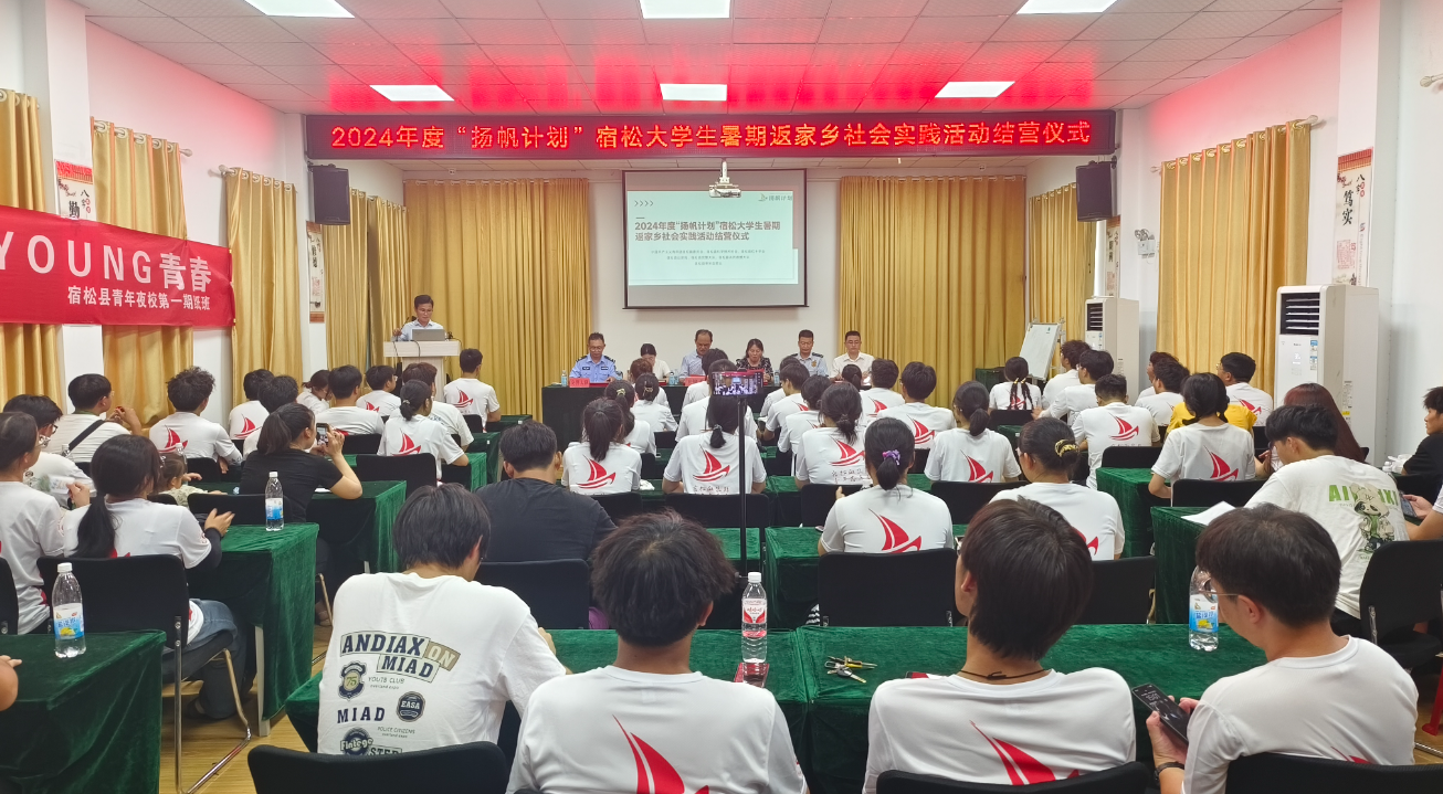 宿松县“筑梦青春 扬帆启航”大学生暑期返家乡社会实践活动结营 宿松新闻网