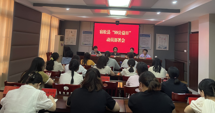  宿松县妇联召开2024年“99公益日”动员部署会 宿松新闻网