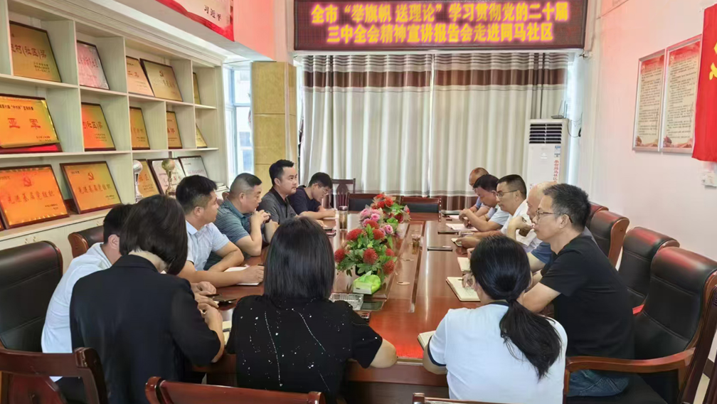 全市“举旗帜 送理论”学习贯彻党的二十届三中全会精神宣讲报告会走进同马社区 宿松新闻网