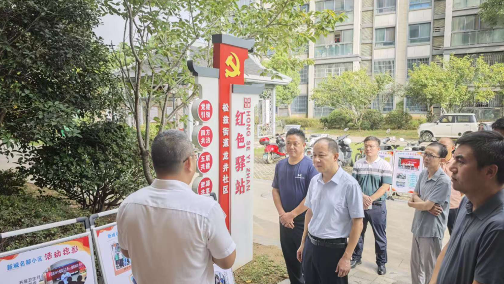 市委社会工作部到我县调研党建引领基层治理工作 宿松新闻网