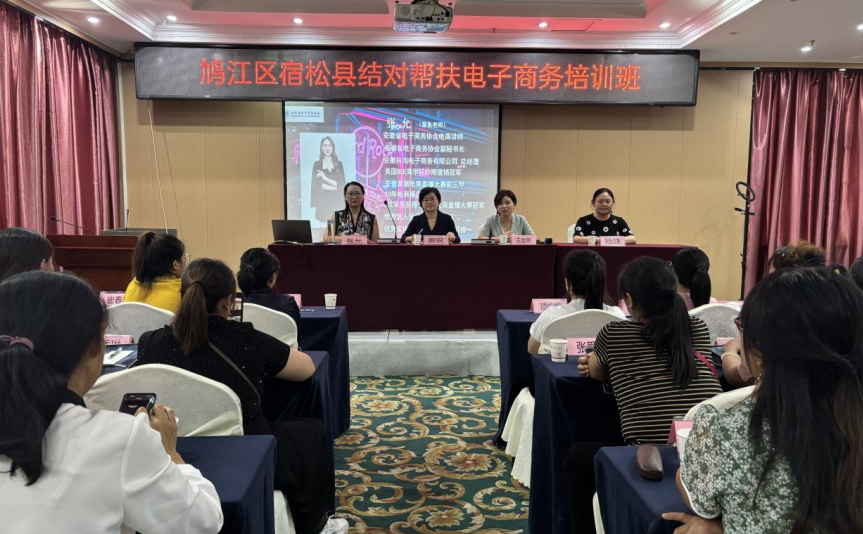 宿松县妇联联合鸠江区妇联举办电子商务培训班