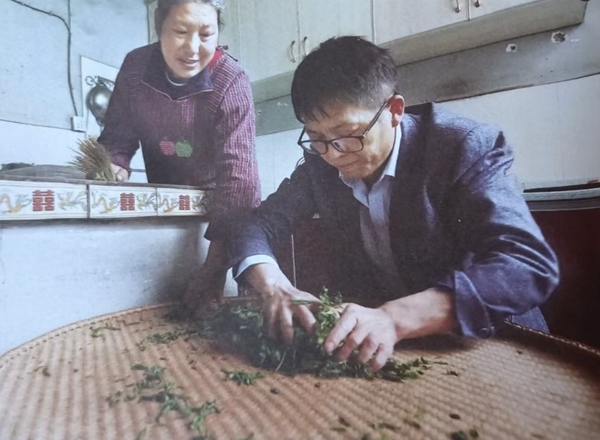 柳坪1.jpg