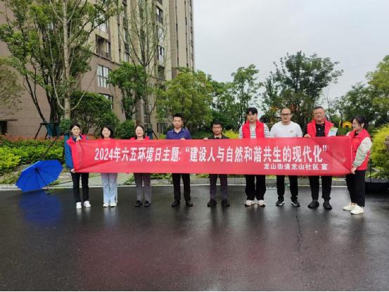 龙山街道2.jpg